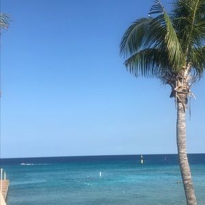 Meet your Posher, Lisset